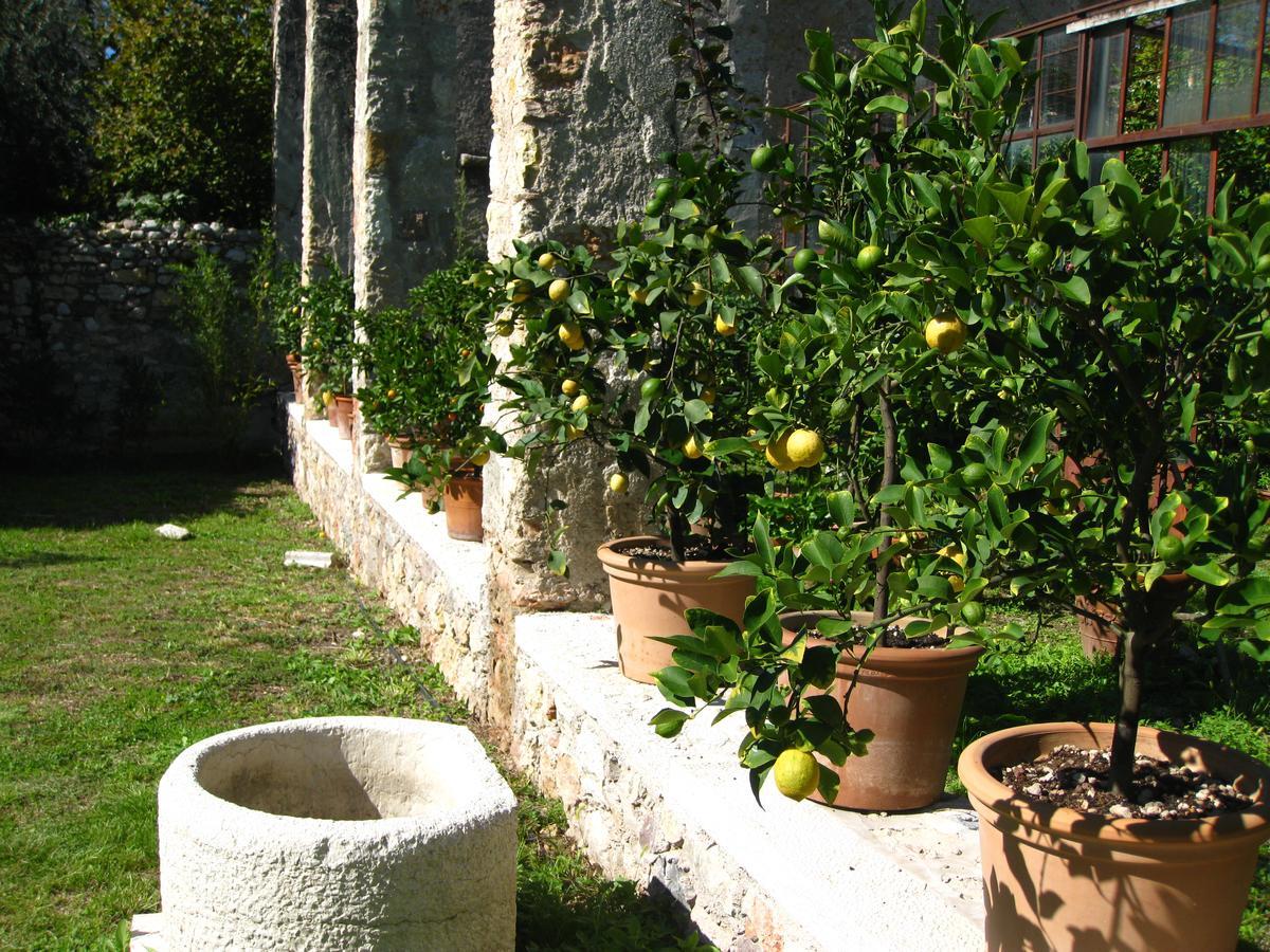 Hotel Belvedere Torri Del Benaco Exterior foto